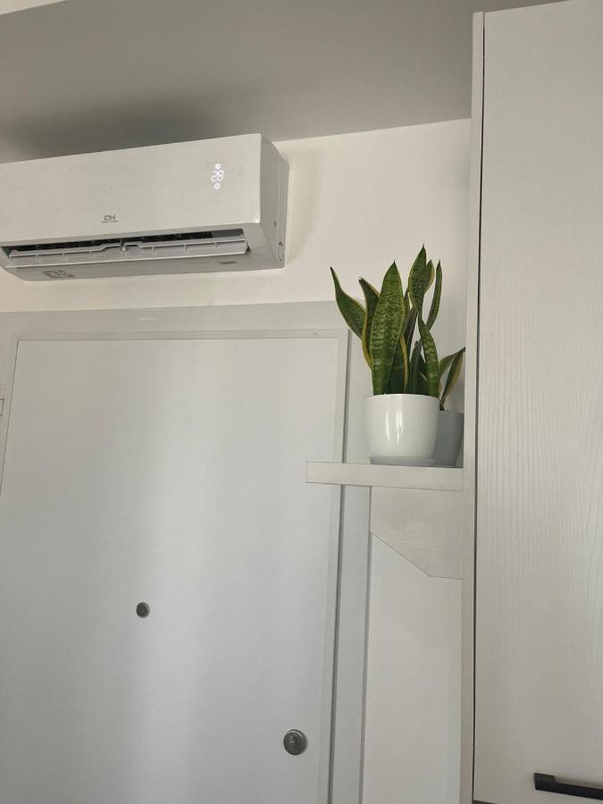 Comfy Nest Apartment- Free Parking تيرانا المظهر الخارجي الصورة